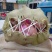 八八六种植专业合作社