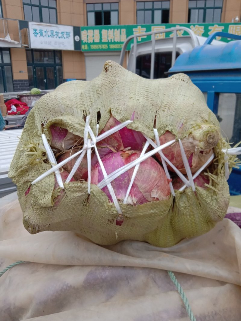 八八六种植专业合作社