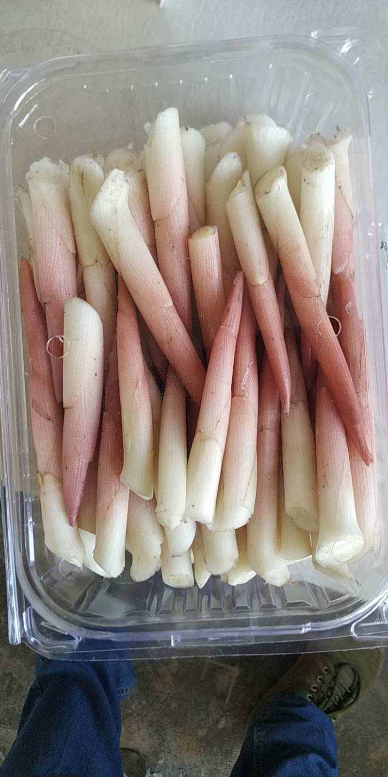 湖北利川高山蔬菜洋荷支持线上交易一件代发可视频看