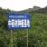 龙胆草种子种籽基地直供云南滇龙胆草种子一手货源供应包