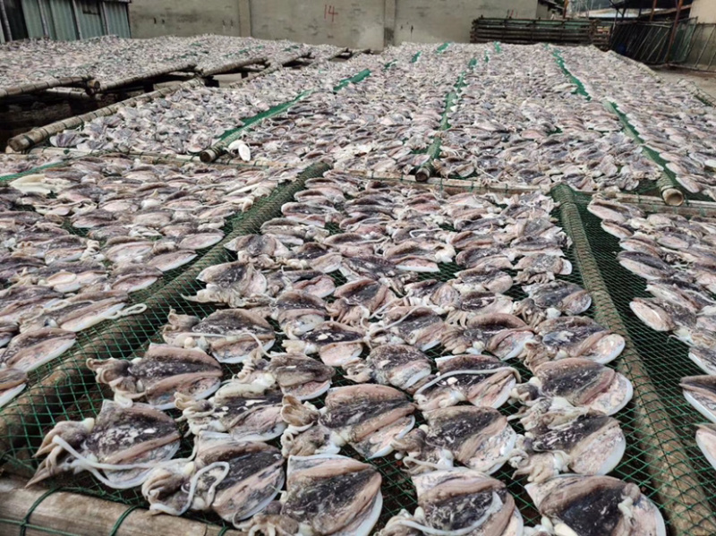 【推荐】墨鱼干海鲜干货批发营养丰富保质保量量大优惠