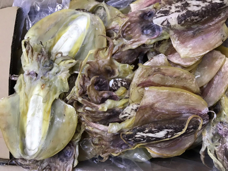 【推荐】墨鱼干海鲜干货批发营养丰富保质保量量大优惠