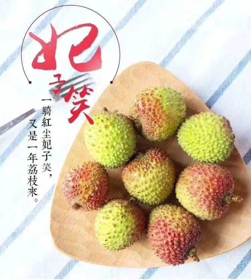妃子笑大量上市，产地茂名电白，有需要的联系我