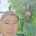 郑三毛桃，突围毛桃产地批发，陕西毛桃基地