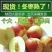 大荔冬枣，陕西大棚冬枣产地批发，大荔冬枣基地