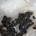 牵牛花籽爬藤效果好花期长花色艳丽