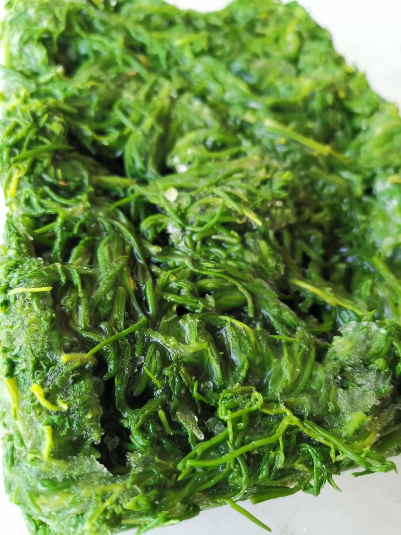 黄须菜碱蓬菜海蒿菜鲜菜速冻的凉菜做馅专用酒店宴会