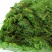 黄须菜碱蓬菜海蒿菜鲜菜速冻的凉菜做馅专用酒店宴会