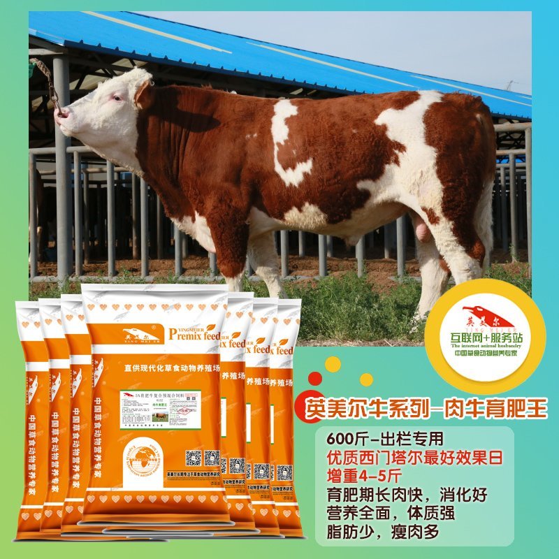 成都英美尔育肥肉牛专用复合预混合饲料配方后期催肥增重促生