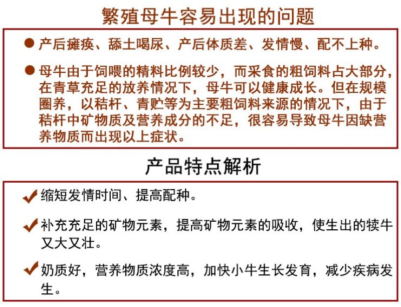 种牛饲料繁殖母牛专用饲料提高繁殖能力繁殖母牛预混料成都英