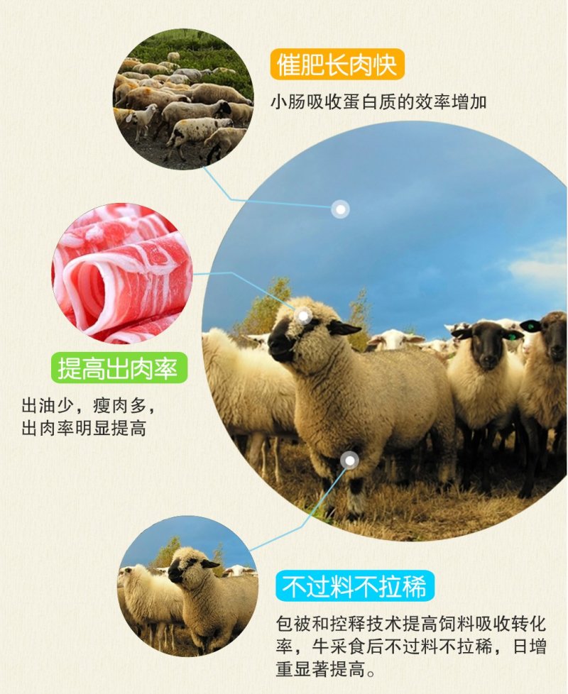 羊浓缩饲料肉羊催肥促生长浓缩料肉羊饲料羊全价段通用饲料