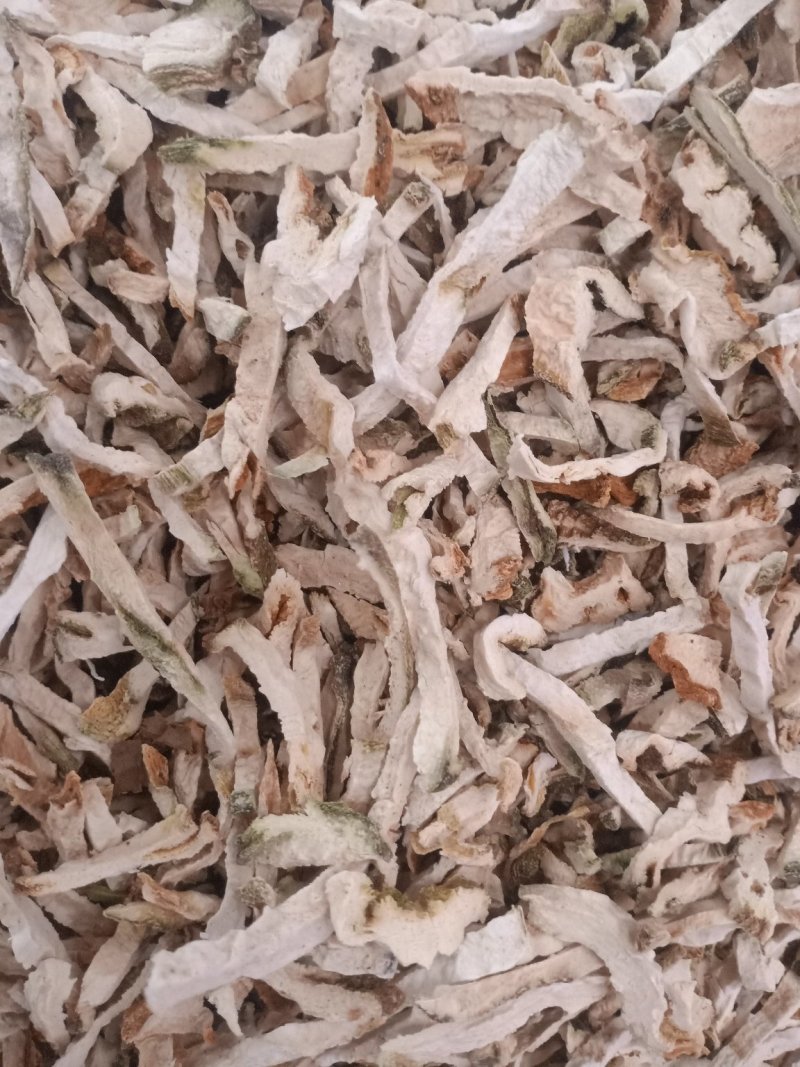 佛手广东佛手各种规格量大从优佛手丝片都有