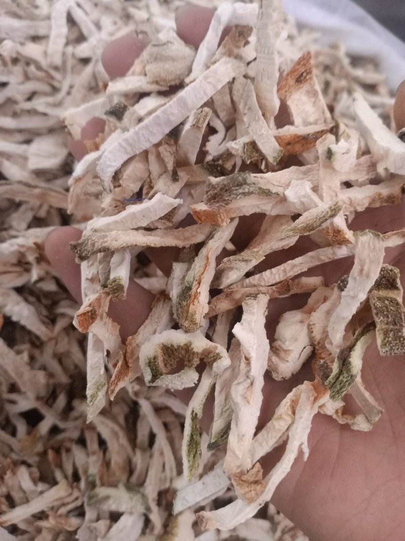 佛手广东佛手各种规格量大从优佛手丝片都有