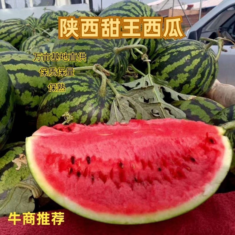优选陕西甜王西瓜基地直供保熟保甜价格优惠