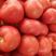 园区温室硬粉西红柿，耐运输，果型圆，不空果可供商超市场。