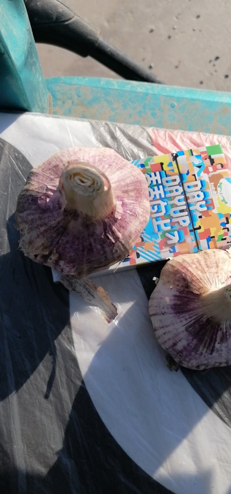 大蒜-紫皮蒜5至6以上个大型好颗粒饱满产地发货