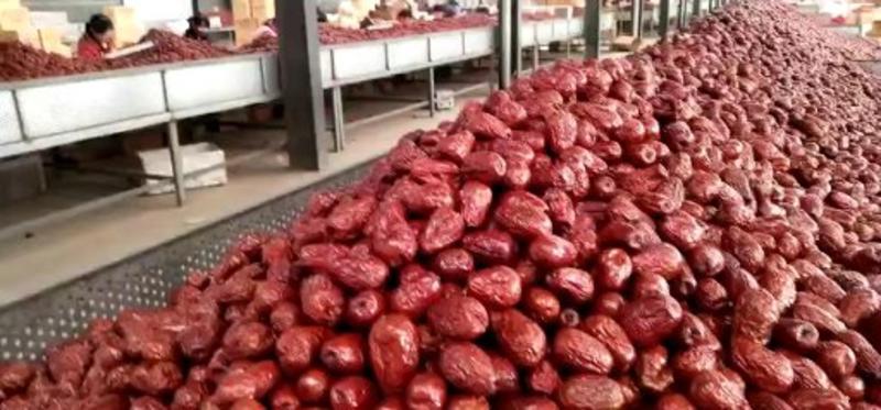 新疆红枣免洗干红枣个大肉质饱满干度好厂家便宜供应