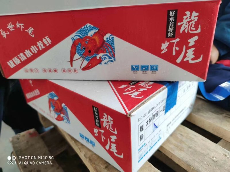 厄瓜多尔进口虾