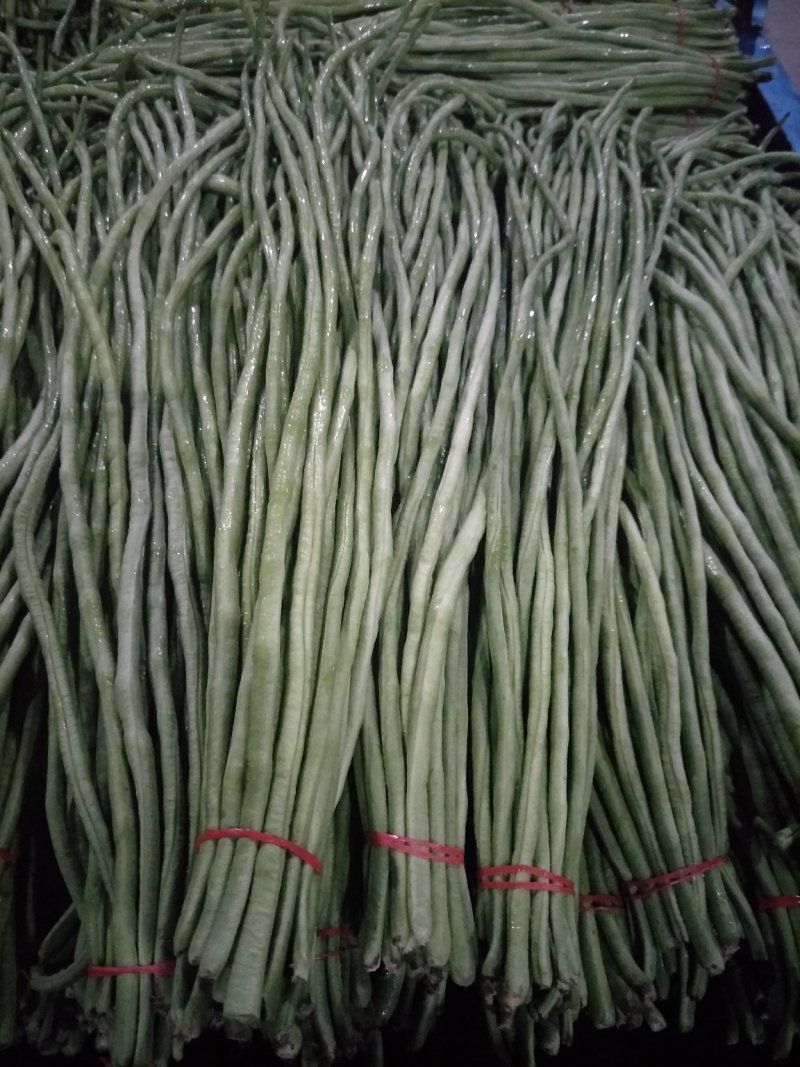 本地精品长豆角，质量有保证，产地真供，专业包装团队