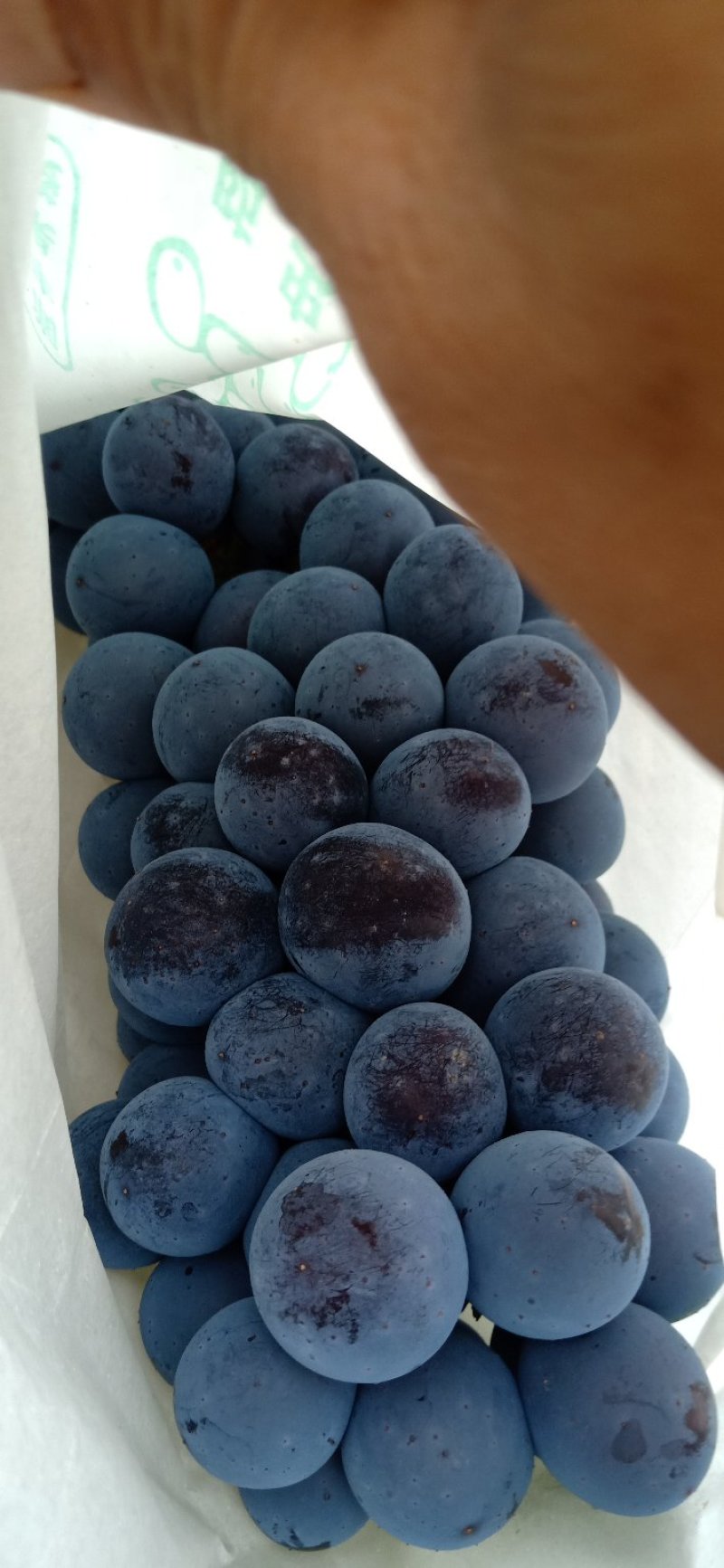 夏黑葡萄