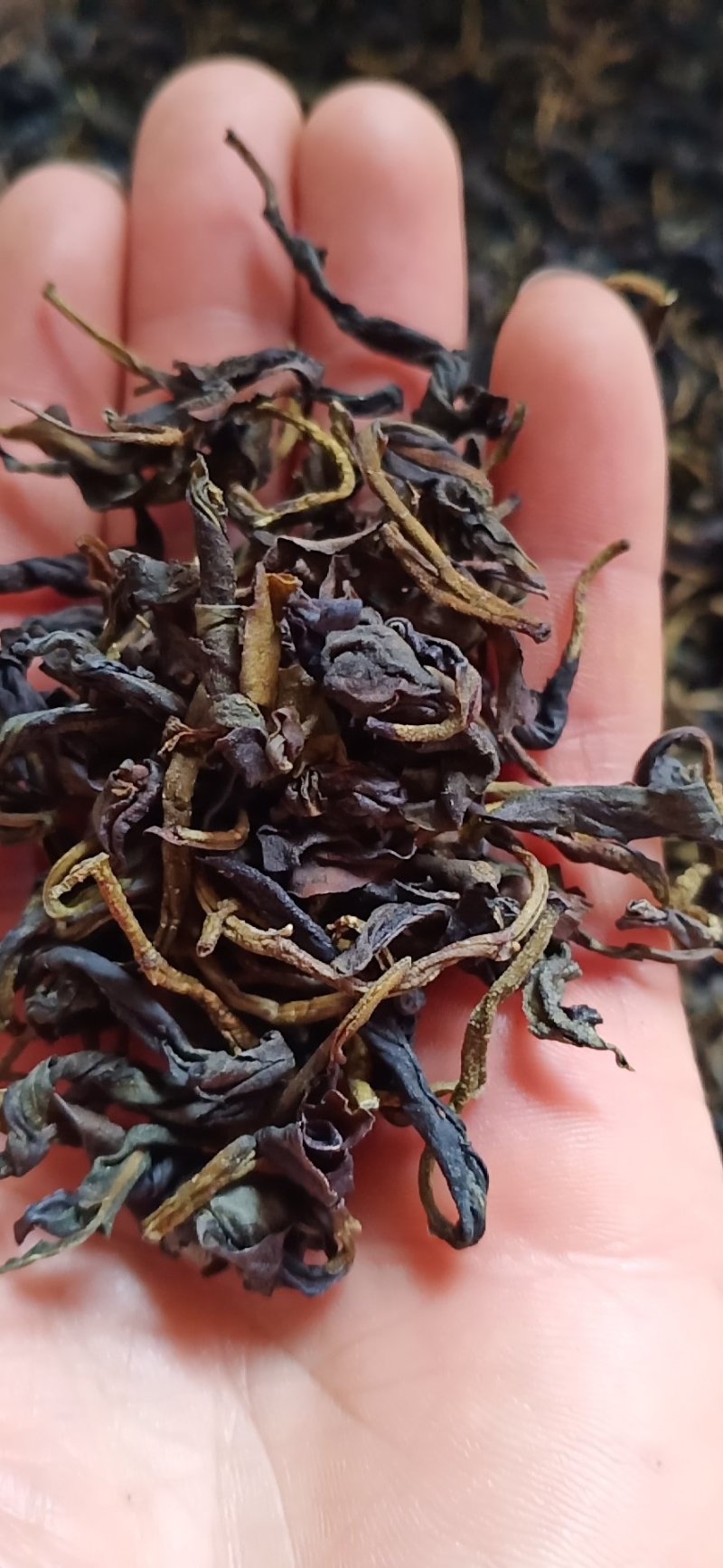 广西金秀大瑶山土特产石崖茶，一袋装一斤。