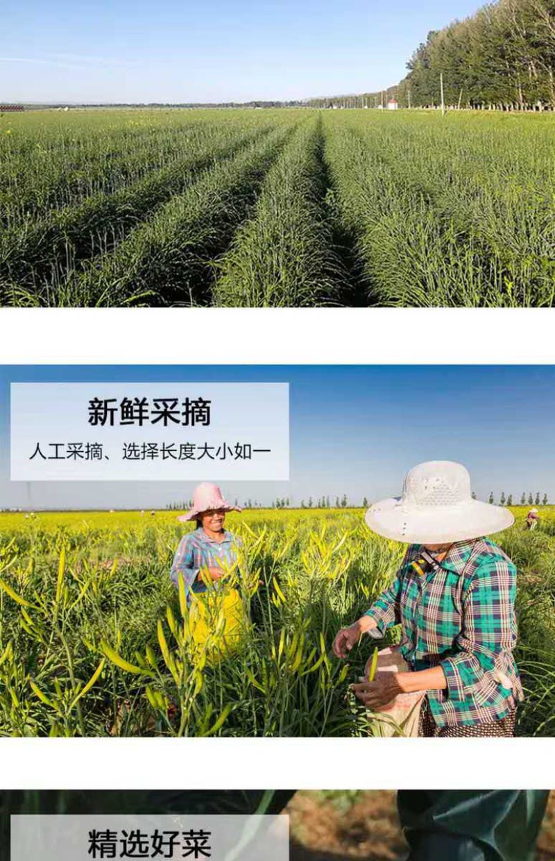 特价黄花菜基地批发，天然晾晒，无添加直条黄花菜
