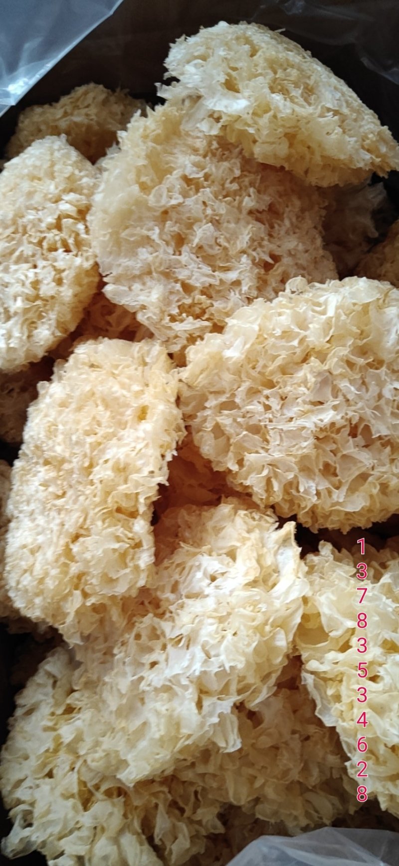 【无硫】大朵银耳银耳大自然的建康食品煲汤凉菜