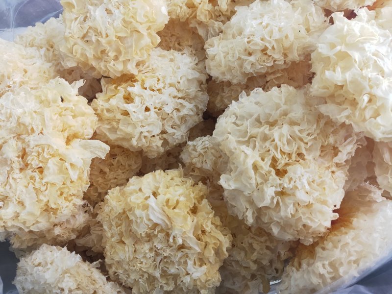 【无硫】大朵银耳银耳大自然的建康食品煲汤凉菜