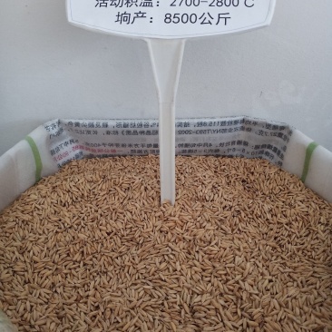 五常稻花香二号大米自产自销