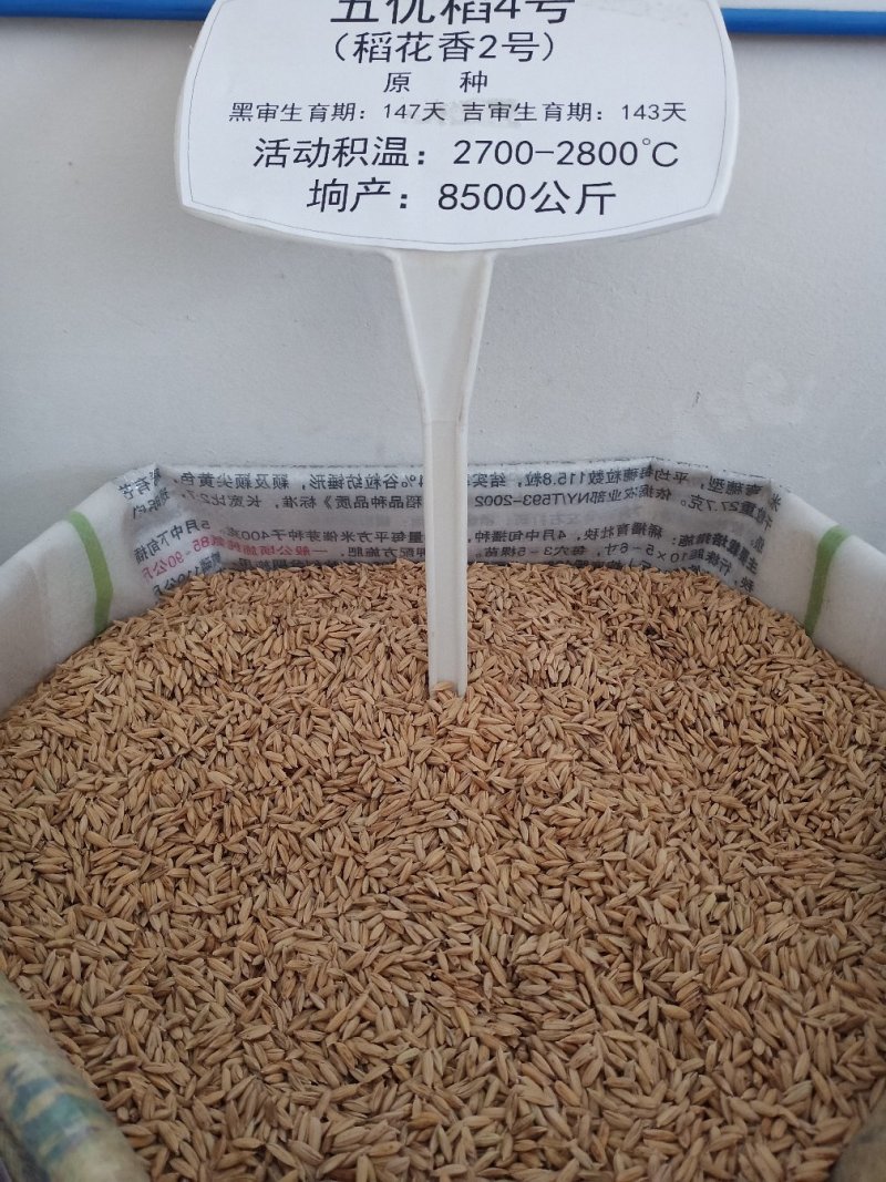五常稻花香二号大米自产自销