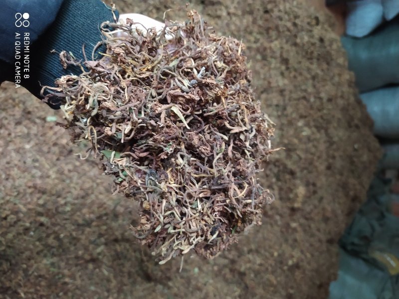 贵州铜仁野生无硫带毛金银花干货毛银花干无杂质忍冬藤叶