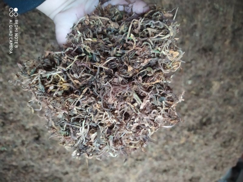 贵州铜仁野生无硫带毛金银花干货毛银花干无杂质忍冬藤叶
