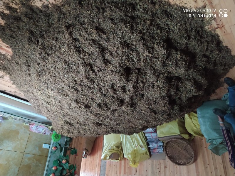 贵州铜仁野生无硫带毛金银花干货毛银花干无杂质忍冬藤叶