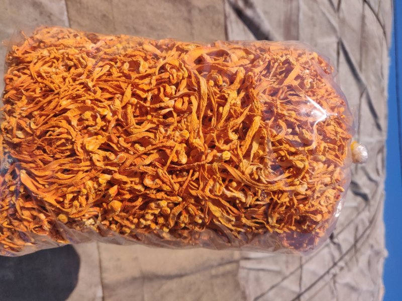 虫草花食用菌烘干新货北虫草2斤实惠装包邮