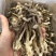 鹿茸菇
