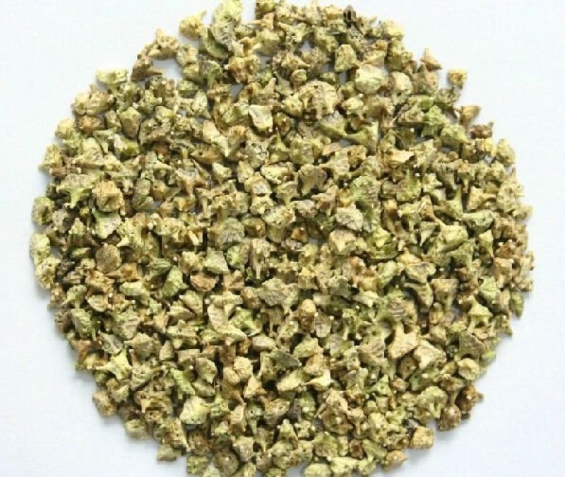 中药材白蒺藜名茨旁通屈人止行休羽升推蒺藜