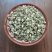 中药材白蒺藜名茨旁通屈人止行休羽升推蒺藜