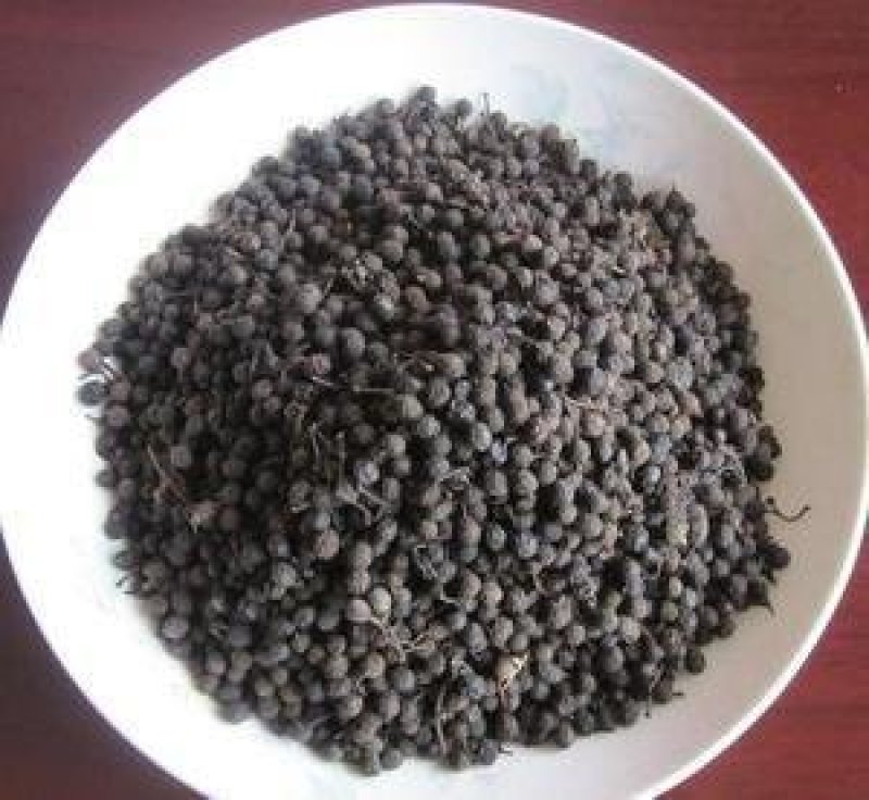 冷背中药材荜澄茄澄茄毗陵茄子广西荜澄茄另销售多种冷背奇中