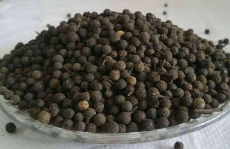 冷背中药材荜澄茄澄茄毗陵茄子广西荜澄茄另销售多种冷背奇中