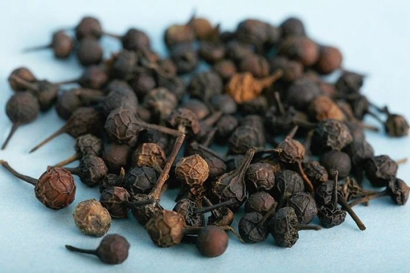 冷背中药材荜澄茄澄茄毗陵茄子广西荜澄茄另销售多种冷背奇中