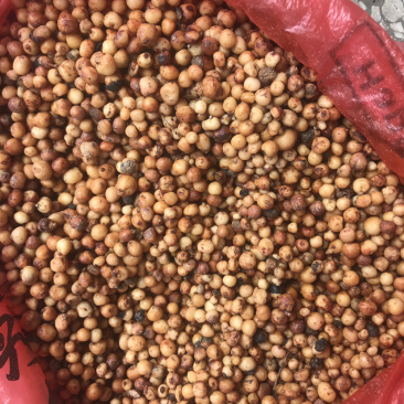 新鲜地下名珠