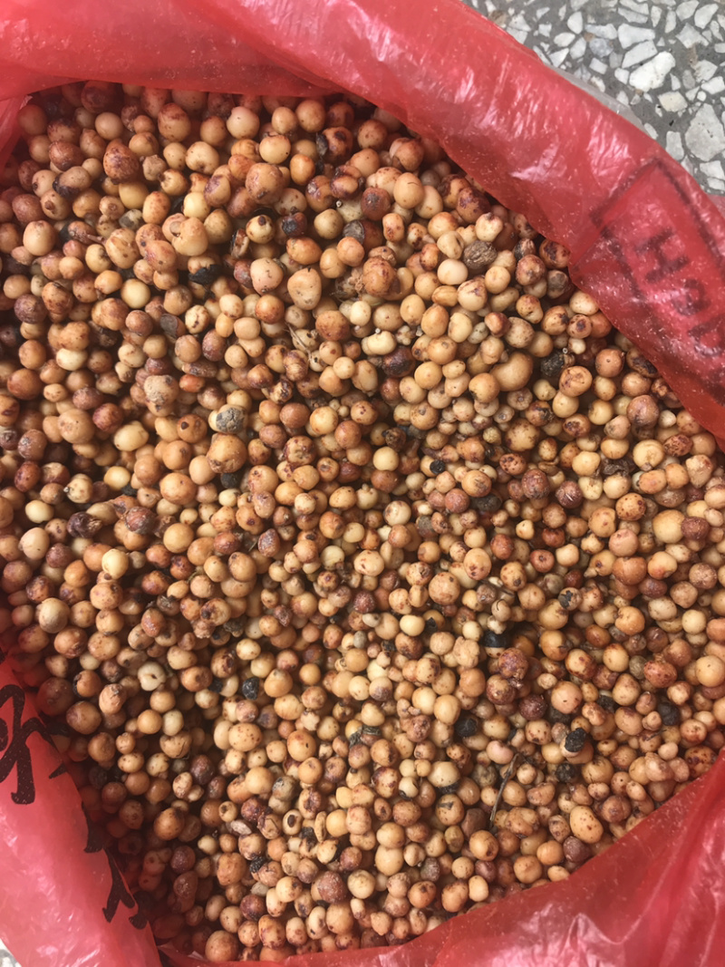 新鲜地下名珠