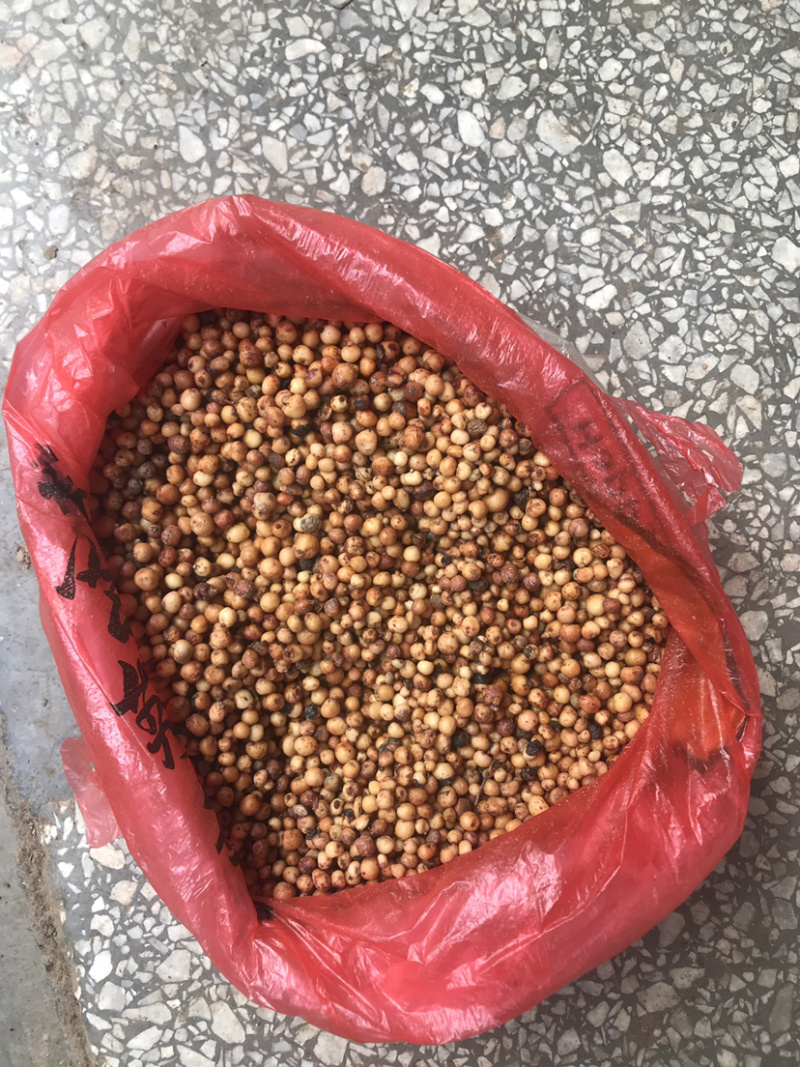 新鲜地下名珠