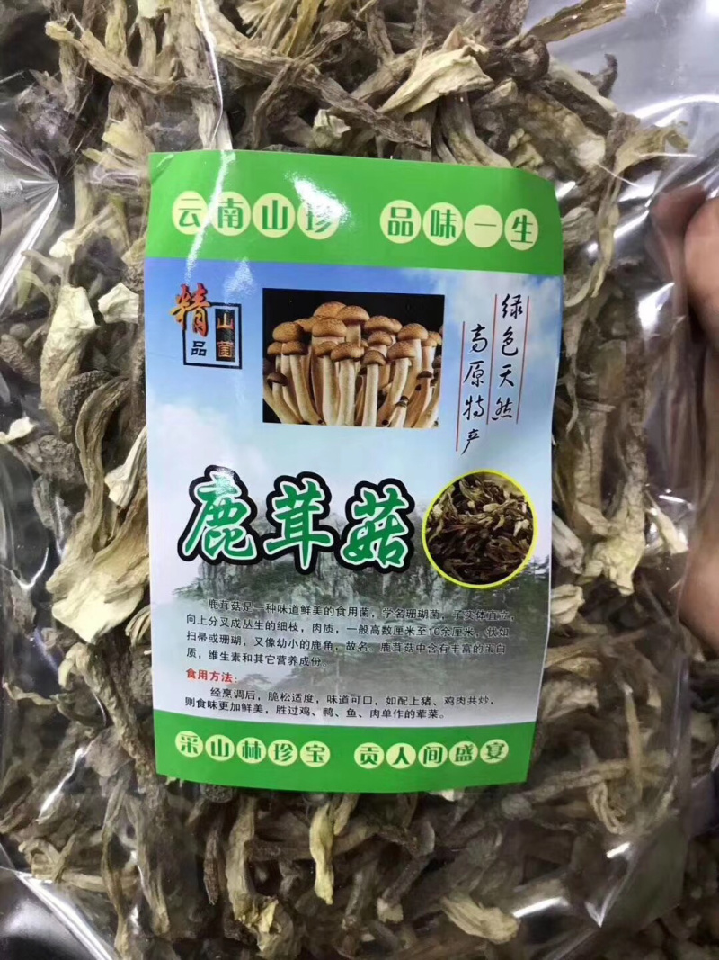 鹿茸菇