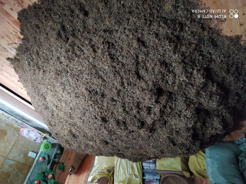 贵州铜仁野生山银花无硫金银花干货大银花干品岩银花忍冬藤