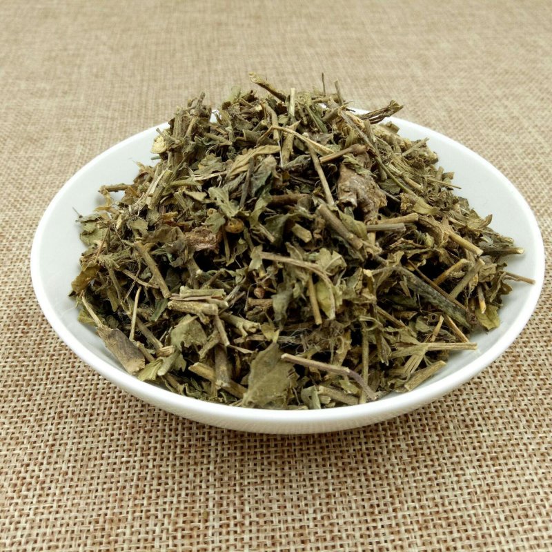 透骨草透骨草中药材中草药11