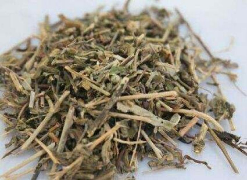 透骨草透骨草中药材中草药11
