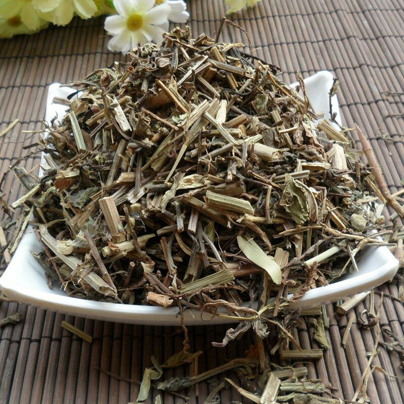 透骨草透骨草中药材中草药11