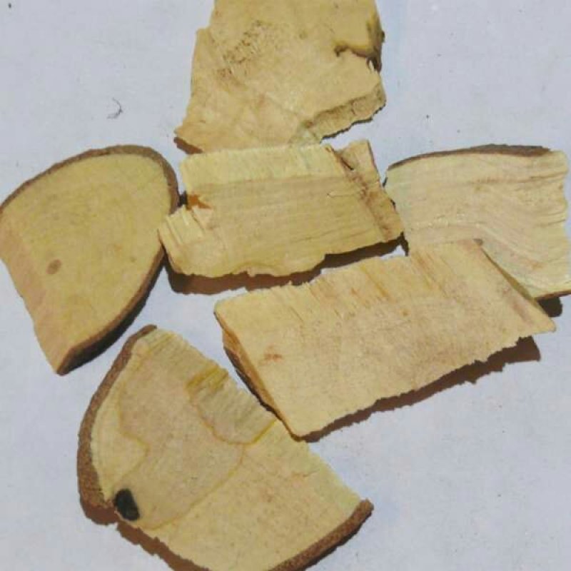 三叉苦三叉虎三丫苦三桠虎中药材