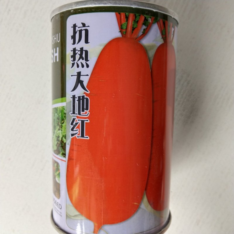 萝卜种子夏季耐热红萝卜种子杂交品种品质有保证